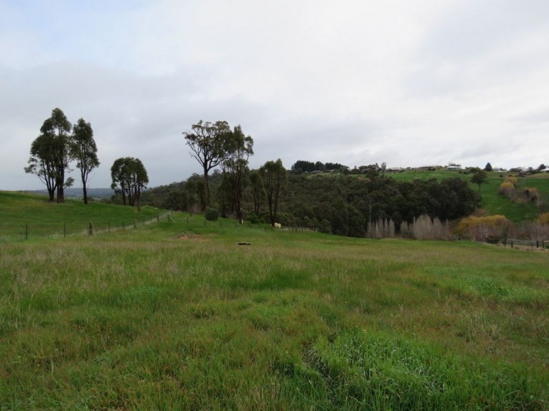 20 Golden Ash Rise, Bridgetown WA 6255