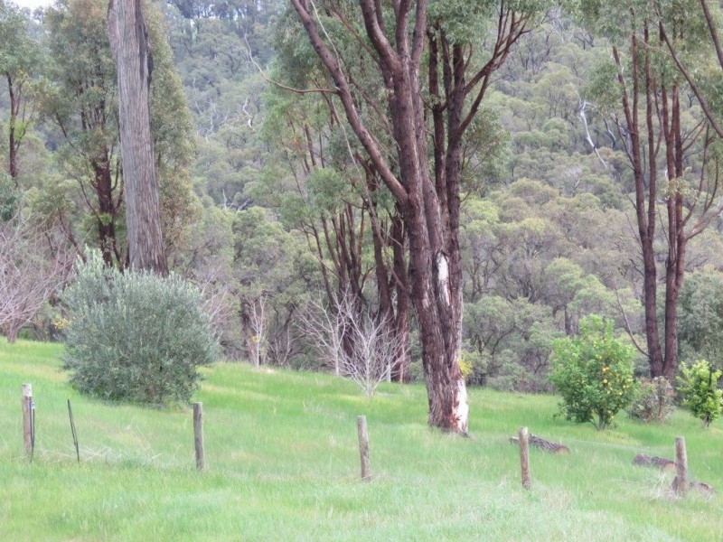 20 Golden Ash Rise, Bridgetown WA 6255