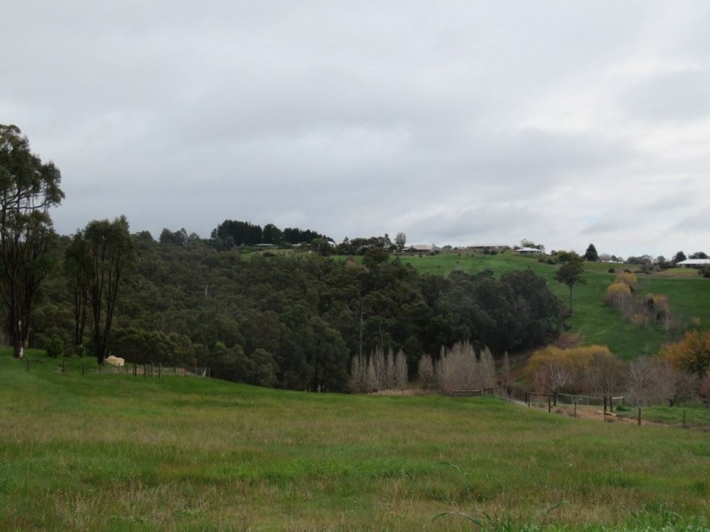 20 Golden Ash Rise, Bridgetown WA 6255