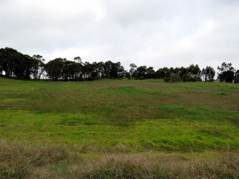 38 Sunridge Drive, Bridgetown WA 6255