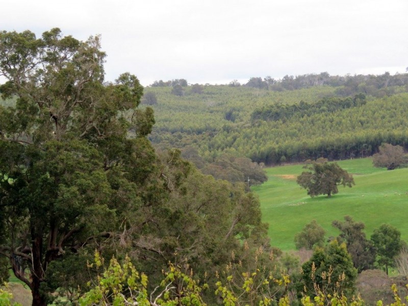 38 Sunridge Drive, Bridgetown WA 6255