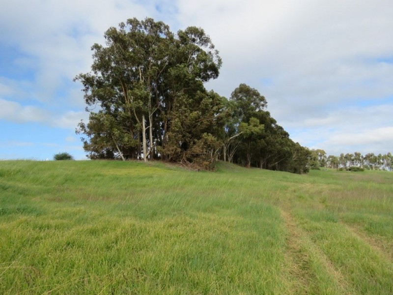 42 Sunridge Drive, Bridgetown WA 6255