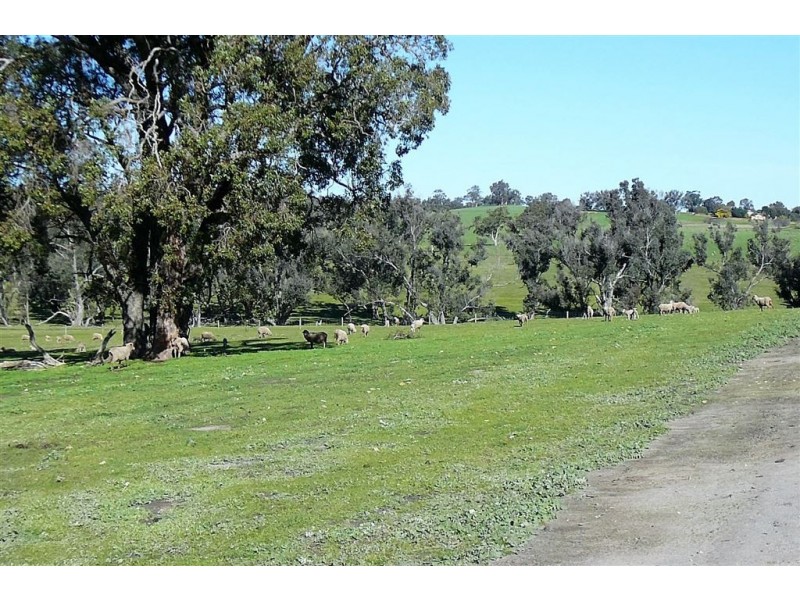 118 Banks Rd, Boyup Brook WA 6244