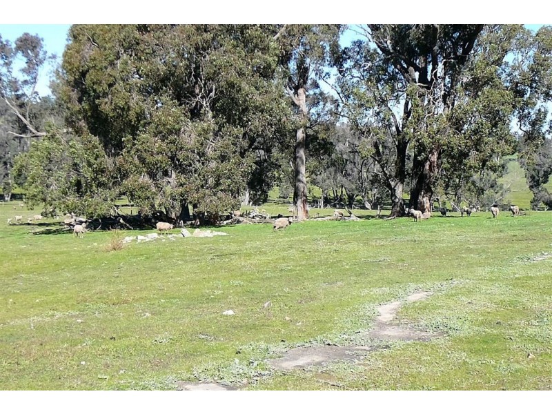 118 Banks Rd, Boyup Brook WA 6244