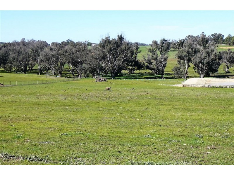 118 Banks Rd, Boyup Brook WA 6244