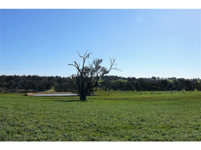 194 Banks Rd, Boyup Brook WA 6244