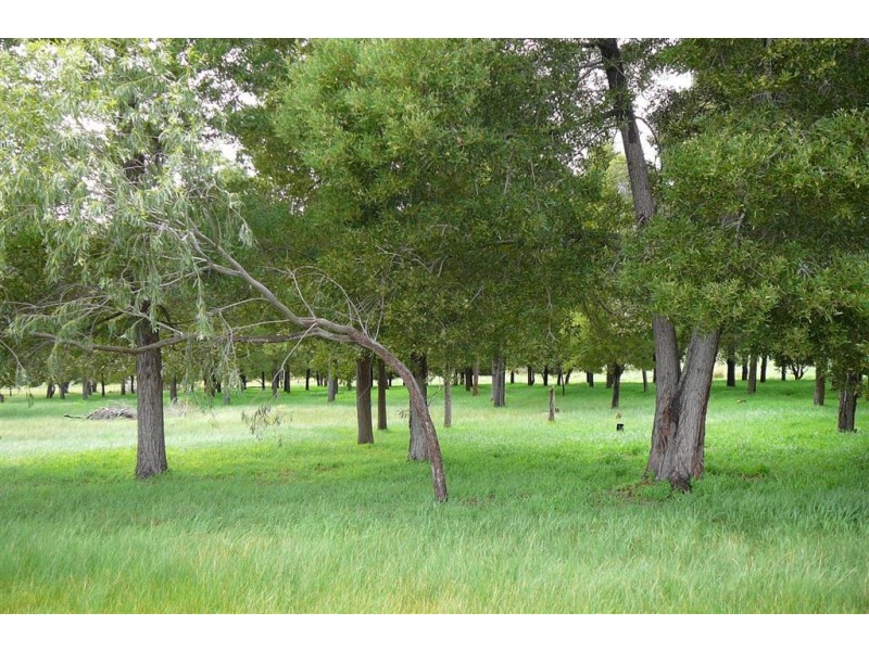 Lot 112 Henderson St, Bridgetown WA 6255