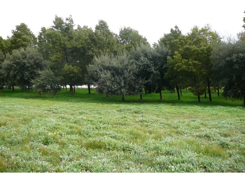 Lot 112 Henderson St, Bridgetown WA 6255