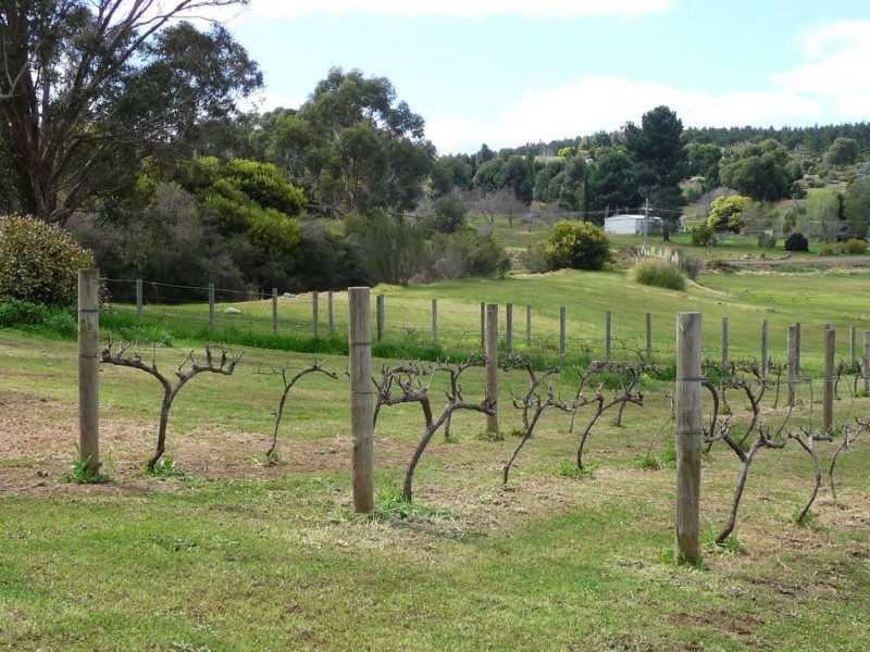 23887 South Western Hwy, Bridgetown WA 6255