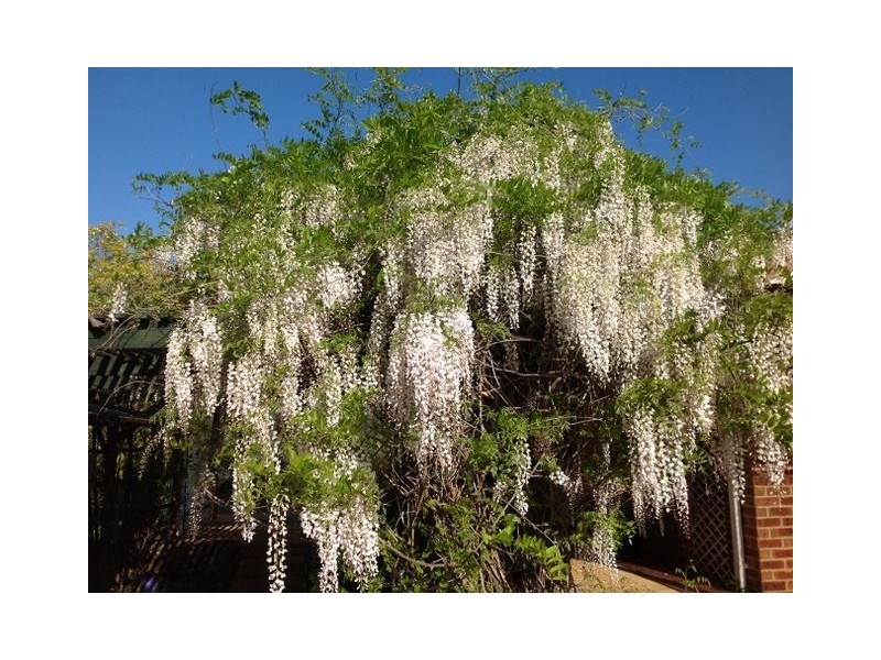 72 River Road, Bridgetown WA 6255