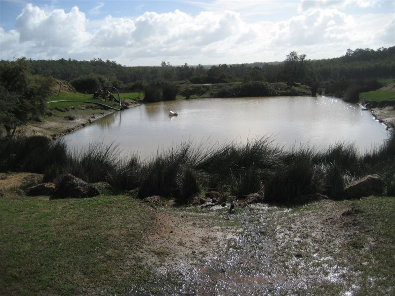 L 100 Greenbushes-Boyup Brook Rd, Greenbushes WA 6254