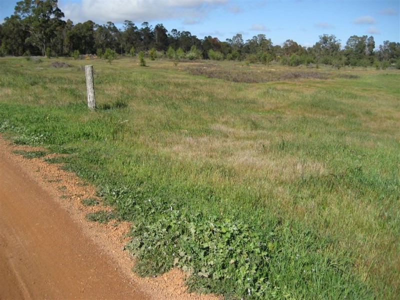 L 100 Greenbushes-Boyup Brook Rd, Greenbushes WA 6254