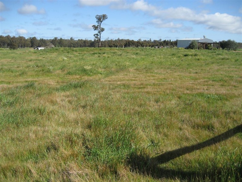 L 100 Greenbushes-Boyup Brook Rd, Greenbushes WA 6254