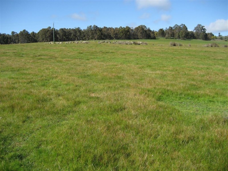 L 100 Greenbushes-Boyup Brook Rd, Greenbushes WA 6254