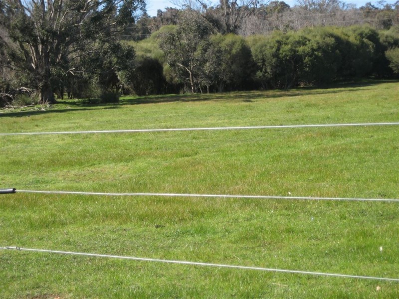 L 100 Greenbushes-Boyup Brook Rd, Greenbushes WA 6254