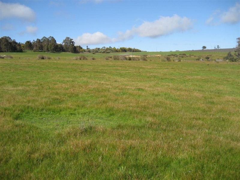 L 100 Greenbushes-Boyup Brook Rd, Greenbushes WA 6254