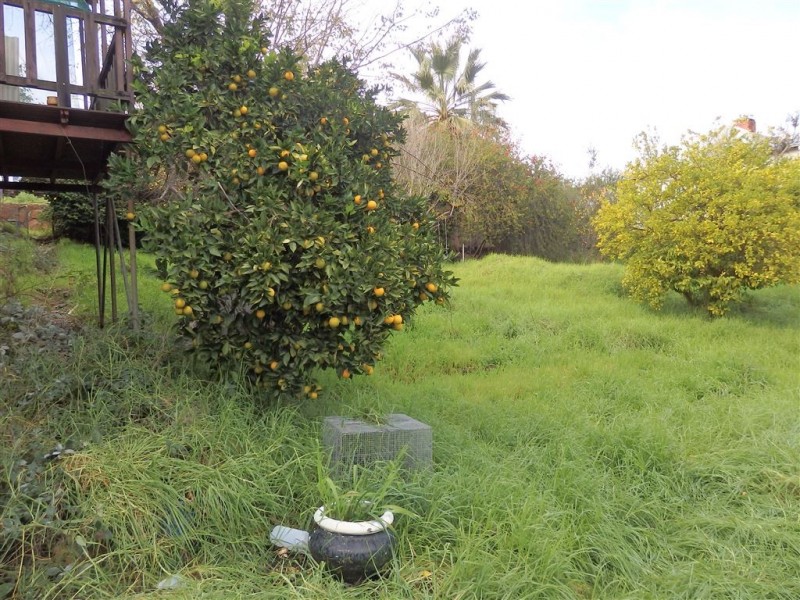 Lot 1 HAMPTON STREET, Bridgetown WA 6255