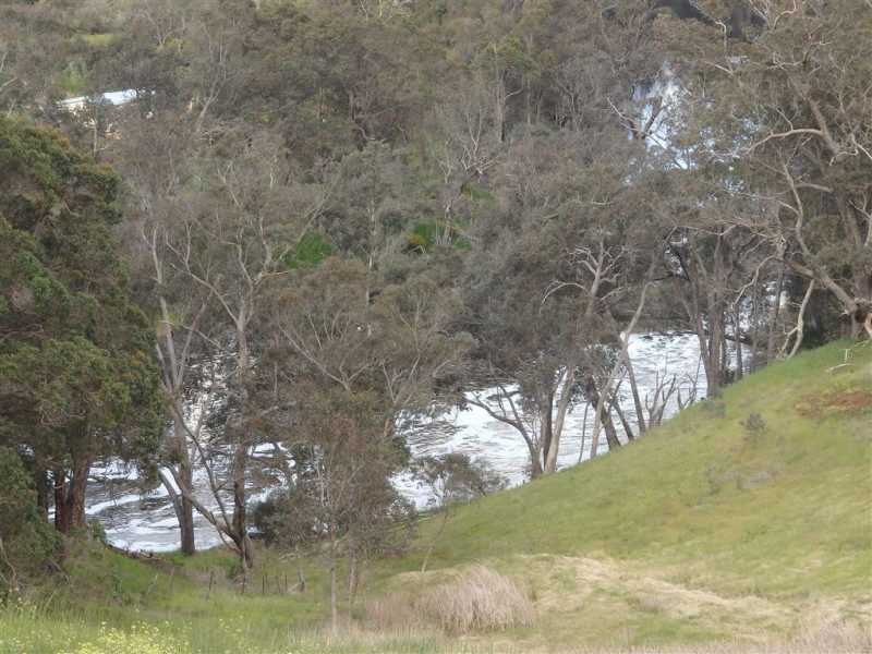 25 REVERENDS RAMBLE, Bridgetown WA 6255