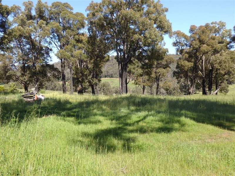 67 BALMORAL DRIVE, Bridgetown WA 6255