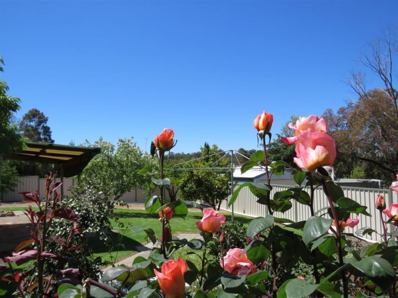 1 Nix Street, Boyup Brook WA 6244