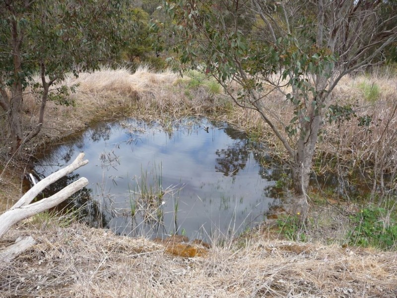 Lot 613 Eedle Terrace, Bridgetown WA 6255