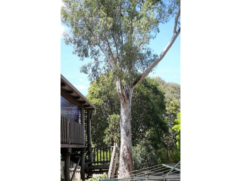 16 Coronation St, Bridgetown WA 6255