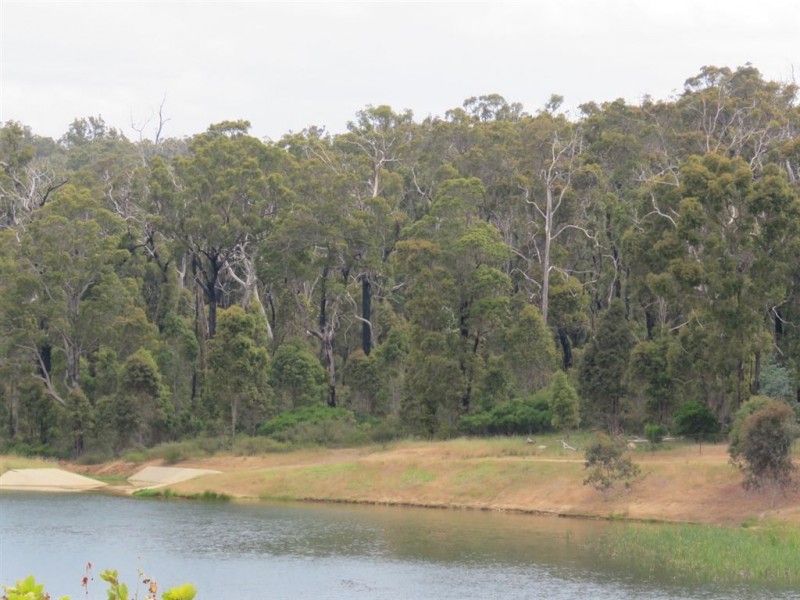 Lot 290 Lakeview Crescent, Bridgetown WA 6255