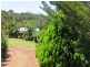 84 Nelson Street, Bridgetown WA 6255