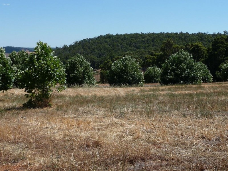 81 (L 286) Gleneagles Drive, Bridgetown WA 6255