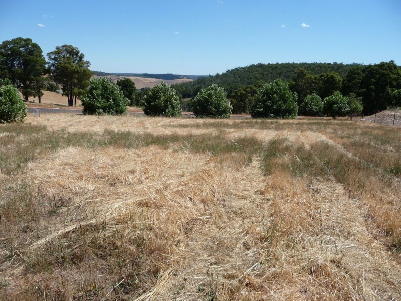 81 (L 286) Gleneagles Drive, Bridgetown WA 6255