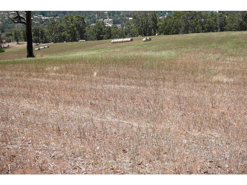 20 Allnutt Street, Bridgetown WA 6255