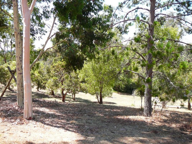 L 501 West Blackwood Tce, Bridgetown WA 6255