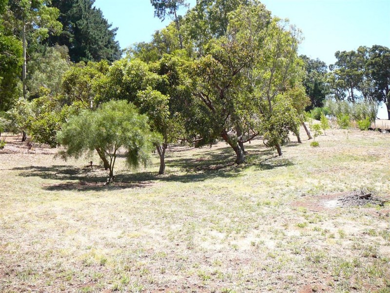 L 501 West Blackwood Tce, Bridgetown WA 6255