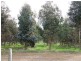 Bridgetown WA 6255