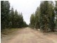 Bridgetown WA 6255