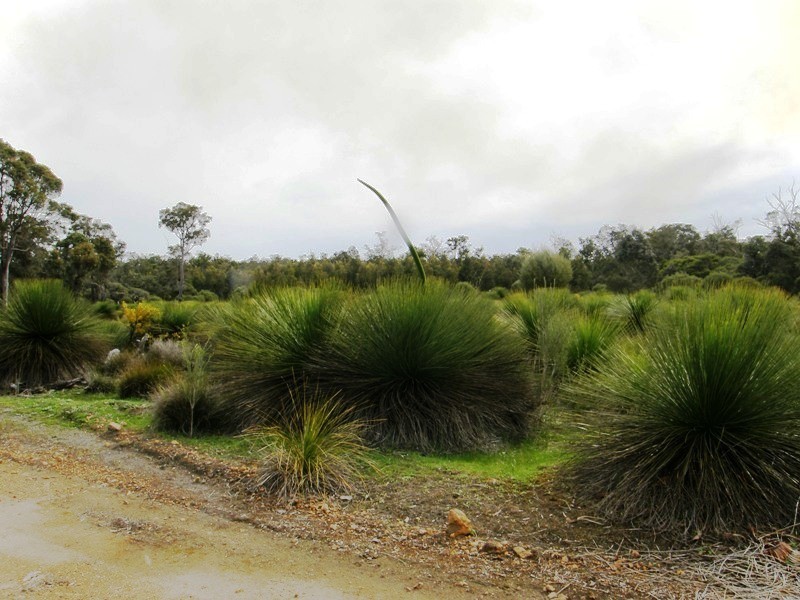 Bridgetown WA 6255