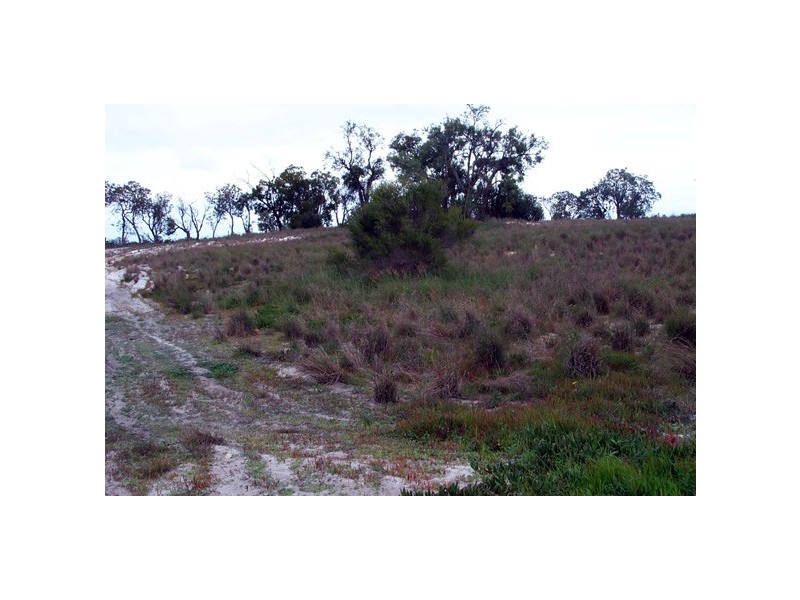 71 Skotsch Road, Banjup WA 6164