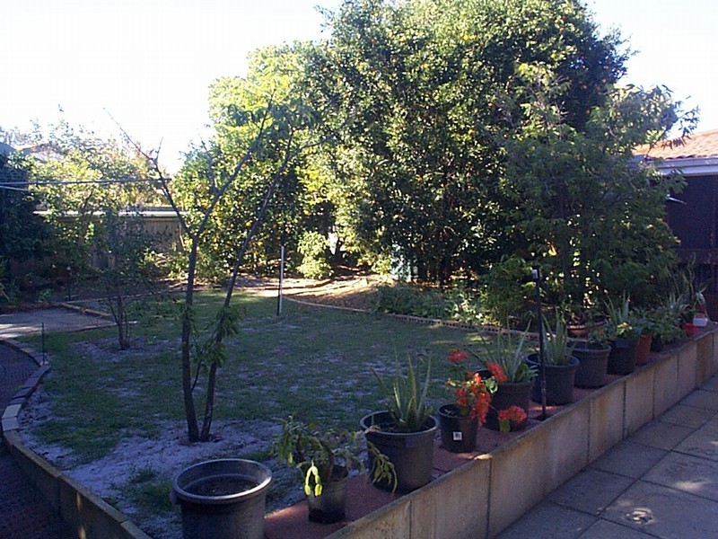 49 Leichhardt Street, Bull Creek WA 6149