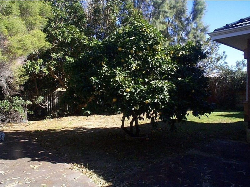 8 Korel Gardens, Swanbourne WA 6010