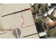6 Molokai Close, Falcon WA 6210