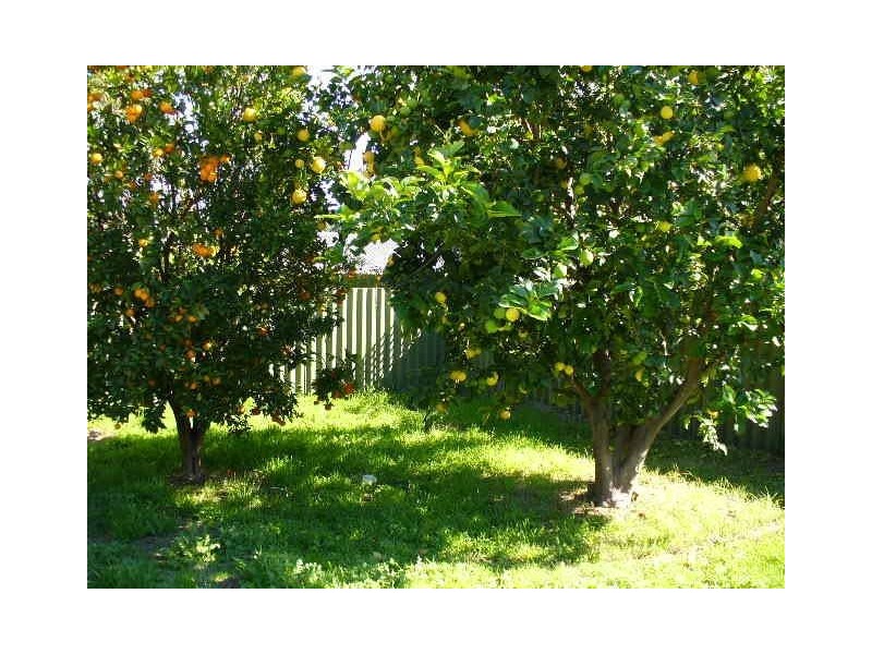 8 Teague Close, Bull Creek WA 6149
