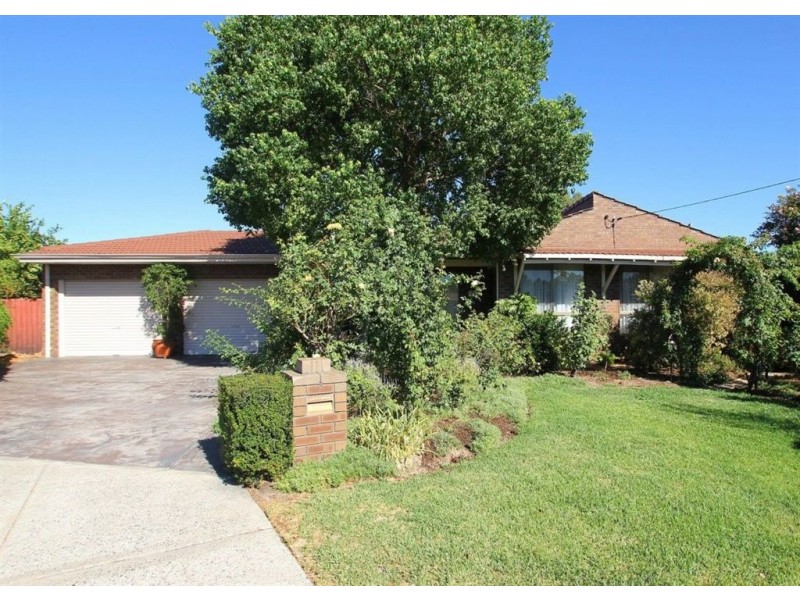 3 Salvia Court, Riverton WA 6148