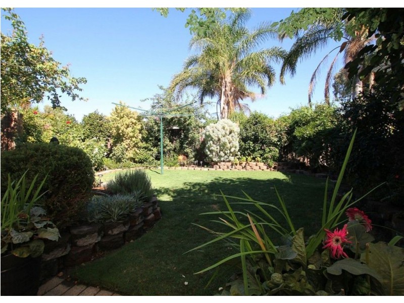 3 Salvia Court, Riverton WA 6148