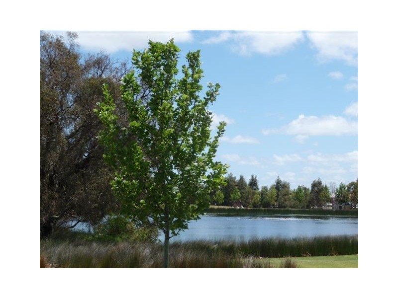 27 Harmony Avenue, Atwell WA 6164