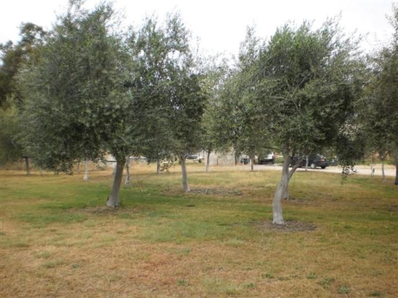 44 Via Vista Drive, Mariginiup WA 6065