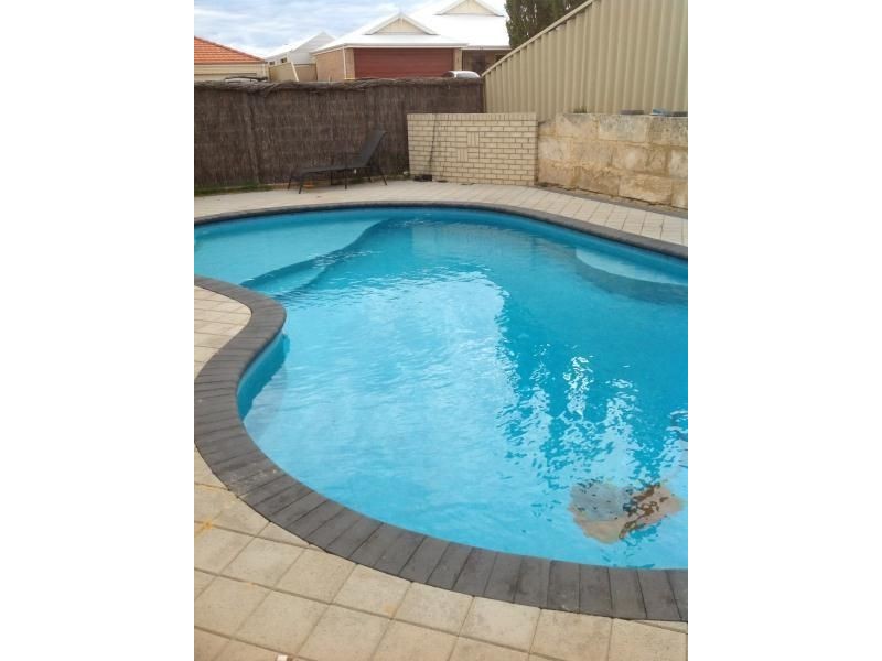 7 TOLLSBURY AVENUE, Butler WA 6036