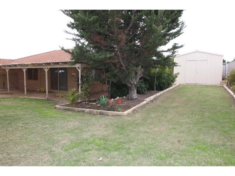 12 HOPMAN RISE, Clarkson WA 6030