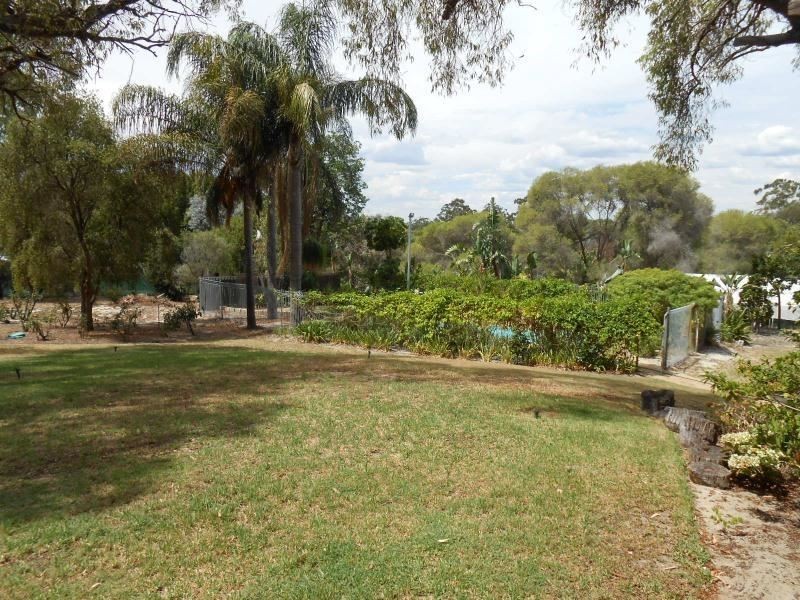 16 Canna Place, Wanneroo WA 6065