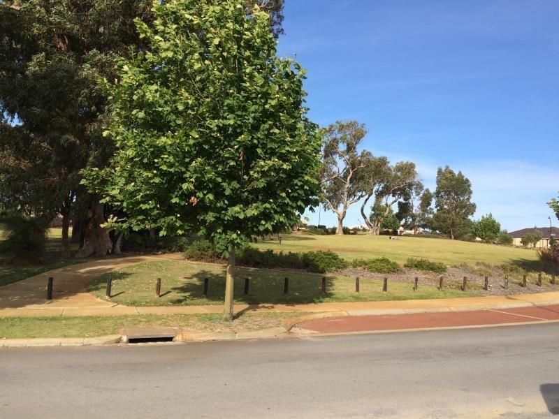 25 LAS RAMBLAS CIRCLE, Clarkson WA 6030