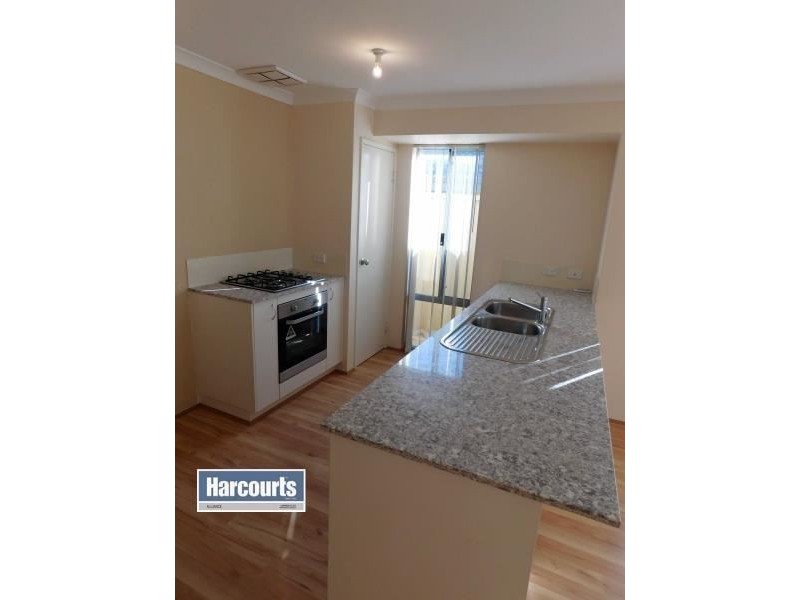 11 MANSFIELD AVENUE, Butler WA 6036